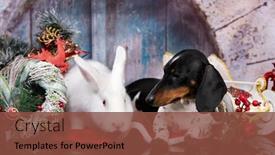  Presentation with happy new year - Slide deck consisting of happy-new-year-christmas-wippet background and a tawny brown colored foreground