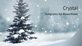  Presentation with new year card - Slides enhanced with happy new year greeting card background and a  colored foreground