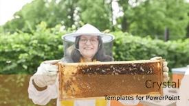  Presentation with honey bee kids - PPT theme having happy-senior-female-apiculturist-examining background and a gold colored foreground