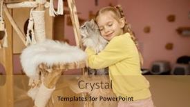  Presentation with animal shelter - Presentation design with happy-smiling-girl-petting-fluffy background and a yellow colored foreground