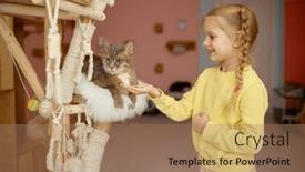  Presentation with animal shelter - Theme having happy-smiling-little-girl-child background and a coral colored foreground