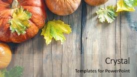  Presentation with happy thanksgiving - Slides enhanced with happy thanksgiving day autumn feast background and a light gray colored foreground