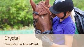  Presentation with portrait of a horse - PPT theme featuring  background and a  colored foreground.