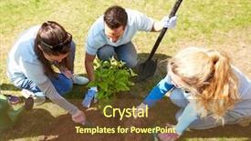  Presentation with tree planting - Cool new theme with happy volunteers planting tree backdrop and a tawny brown colored foreground