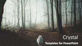  Presentation with foggy forest - Presentation having happy-white-dog-playing background and a dark gray colored foreground