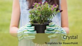 Presentation with flowers - Presentation featuring happy woman holding potted flowers background and a  colored foreground
