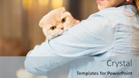  Presentation with fold - Audience pleasing theme consisting of happy-woman-holding-scottish-fold backdrop and a light blue colored foreground