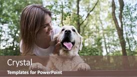  Presentation with forest bridge - Theme having happy-woman-with-dog-standing background and a violet colored foreground
