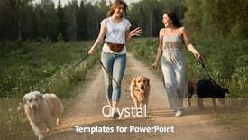  Presentation with walk - PPT theme consisting of happy-women-on-walk background and a coral colored foreground