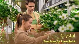  Presentation with vertical farm - PPT theme featuring happy-young-female-worker background and a tawny brown colored foreground