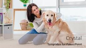  Presentation with golden light - Presentation with happy-young-girl-petting-golden background and a mint green colored foreground