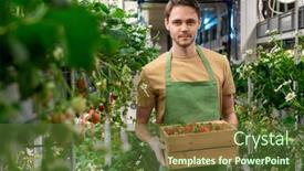  Presentation with vertical farm - Cool new presentation theme with happy-young-male-worker backdrop and a tawny brown colored foreground
