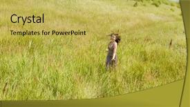  Presentation with happy life - PPT layouts having happy young woman enjoying life background and a  colored foreground