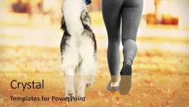  Presentation with dog park - Presentation featuring happy young woman jogging with her dog in park background and a yellow colored foreground