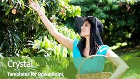  Presentation with happy camper - Colorful slide deck enhanced with happy young woman picking lychees backdrop and a tawny brown colored foreground
