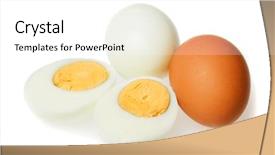  Presentation with chicken - PPT theme enhanced with hard boiled chicken eggs isolated background and a white colored foreground
