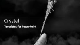  Presentation with philosopher - Amazing presentation theme having hard-to-rise-searching-philosopher backdrop and a black colored foreground