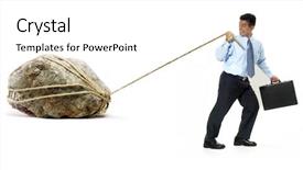  Presentation with rock - PPT theme featuring two brown horses lovingly nuzzling each other at the grazing note visible grain at 100 best at smaller sizes background and a gray colored foreground