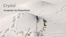  Presentation with snow - Colorful theme enhanced with hare-s-traces-on-snow backdrop and a light gray colored foreground