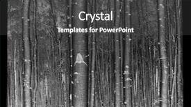  Presentation with sepsis gram negative bacilli - Presentation theme having harlid - old monochrome negative my work background and a dark gray colored foreground