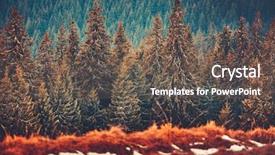  Presentation with tawny - Colorful presentation enhanced with harmonic - gorgeous winter landscape the straight backdrop and a gray colored foreground