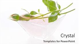  Presentation with salt - PPT theme with harmonic - rosebuds on bath salt background and a white colored foreground