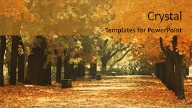  Presentation with safari park beautiful wildlife animal - Amazing PPT theme having harmony colors - beautiful autumn park backdrop and a  colored foreground