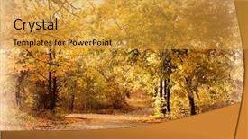  Presentation with park - PPT layouts with harmony colors - beautiful autumnal park background and a gold colored foreground