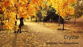  Presentation with safari park beautiful wildlife animal - Colorful presentation theme enhanced with harmony colors - beautiful autumnal park backdrop and a gold colored foreground