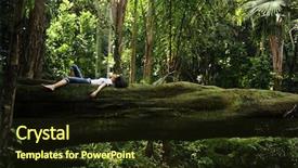  Presentation with tropical forest - Theme with harmony in nature woman relaxing background and a wine colored foreground