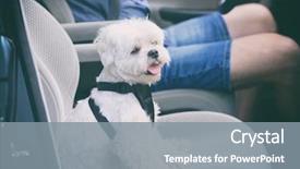  Presentation with safe - Beautiful slide deck featuring harness to keep him safe backdrop and a gray colored foreground