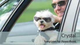  Presentation with dog - Colorful presentation theme enhanced with harness to keep him safe backdrop and a light blue colored foreground