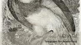  Presentation with eagle - Amazing PPT theme having harpy-eagle-harpia-harpyja backdrop and a light gray colored foreground