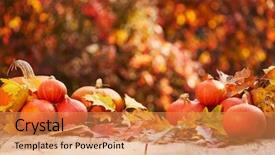  Presentation with autumn leaves - Beautiful slides featuring harverst - pumpkins on a table backdrop and a  colored foreground