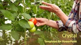  Presentation with agriculture greenhouse - Colorful presentation enhanced with harvest and people concept - hands backdrop and a tawny brown colored foreground