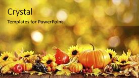  Presentation with dry - Theme with autumn decoration arranged with dry background and a gold colored foreground