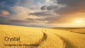  Presentation with nature meadow baby and child - Cool new slide set with harvest field - meadow of wheat nature composition backdrop and a gold colored foreground