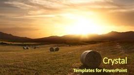  Presentation with hay field - PPT theme with harvest field of roll background and a tawny brown colored foreground
