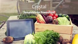  Presentation with farm food - Audience pleasing PPT theme consisting of harvest-food-and-agriculture-concept backdrop and a coral colored foreground