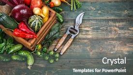  Presentation with wood harvest - Slide set consisting of harvest fresh vegetables on old background and a gray colored foreground