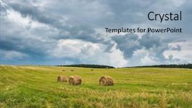  Presentation with hay field - Amazing presentation theme having harvest in belarus cloud backdrop and a light blue colored foreground