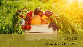  Presentation with cucumbers - PPT theme having harvest-is-in-hands background and a gold colored foreground