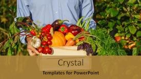  Presentation with cucumbers - Slide set enhanced with harvest-is-in-hands background and a gold colored foreground