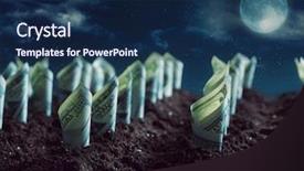  Presentation with harvest - Slides consisting of cormorant seabird resting on a eucalyptus branch overlooking the pacific ocean in santa barbara california background and a light blue colored foreground