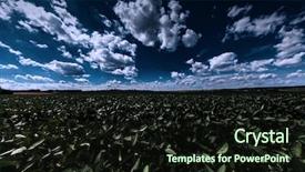  Presentation with star field - Slides consisting of harvest moon - green night field star sky background and a wine colored foreground