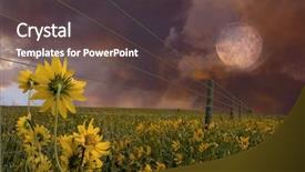  Presentation with flowers - Amazing slide set having harvest moon - landscape with flowers backdrop and a  colored foreground