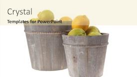  Presentation with harvest - Audience pleasing PPT theme consisting of harvest of fresh raw lemon in wooden bucket isolated over white background backdrop and a blonde colored foreground
