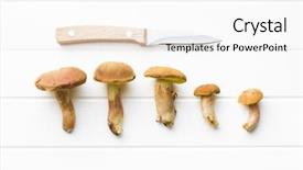  Presentation with fungi - Cool new presentation design with harvest of fresh woodland fungi backdrop and a white colored foreground
