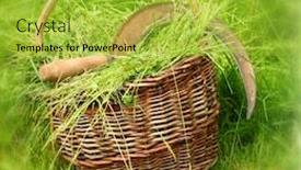  Presentation with harvest - Colorful slide set enhanced with harvest-of-hay backdrop and a yellow colored foreground
