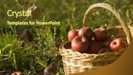  Presentation with red apple tree - Beautiful presentation design featuring harvest of the orchard basket full of red apples under apple tree backdrop and a tawny brown colored foreground
